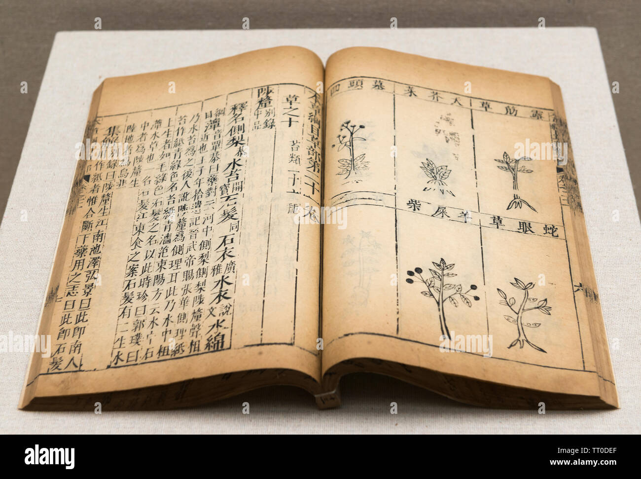 Ben Cao Gang Mu (Sammlung von Materia Medica) von Li Shizhen während der Ming Dynastie (1368 AD -1644 AD). Nationales Museum für China Stockfoto