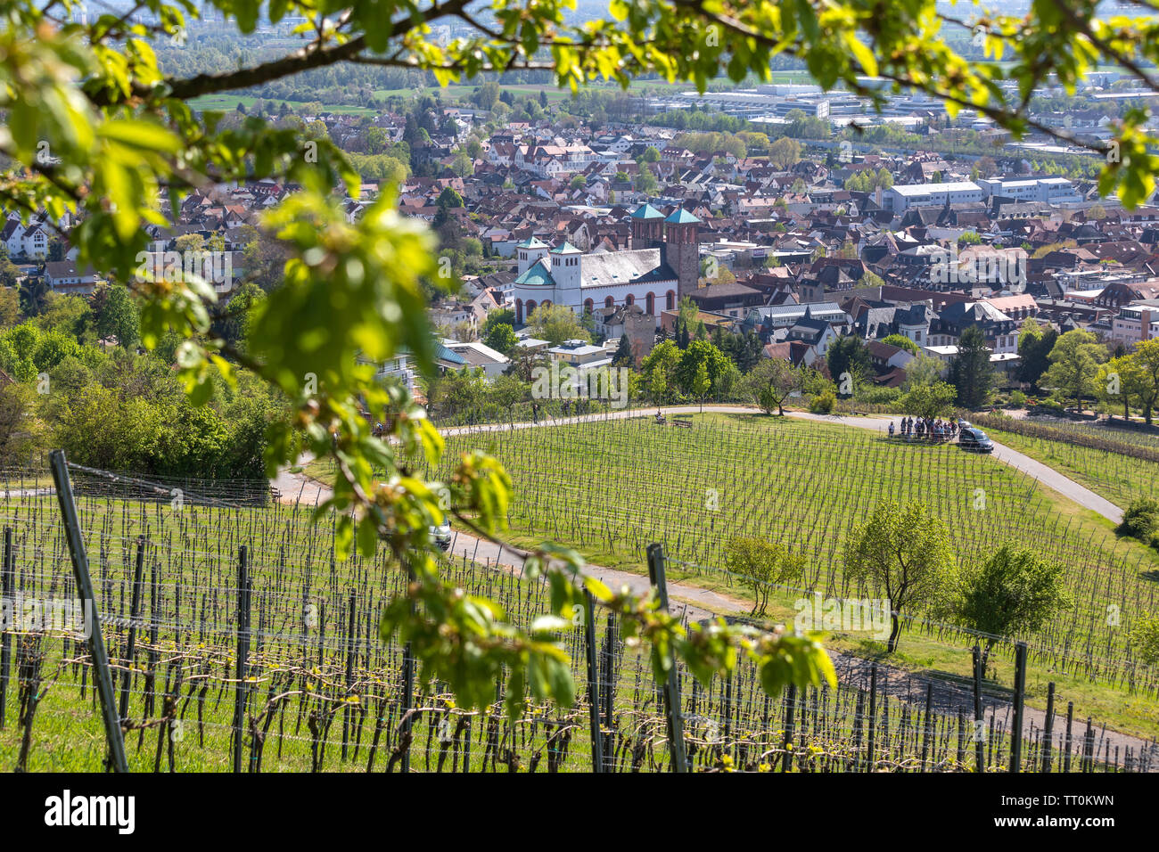 Historische Stadt Bensheim in Hessen Deutschland mit jammern Weinberge Stockfoto