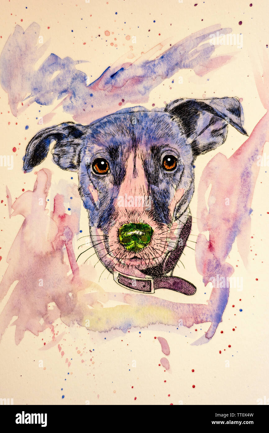 Eine bunte Feder, Tusche und Aquarell Porträt eines Jack Russell Hund. Stockfoto