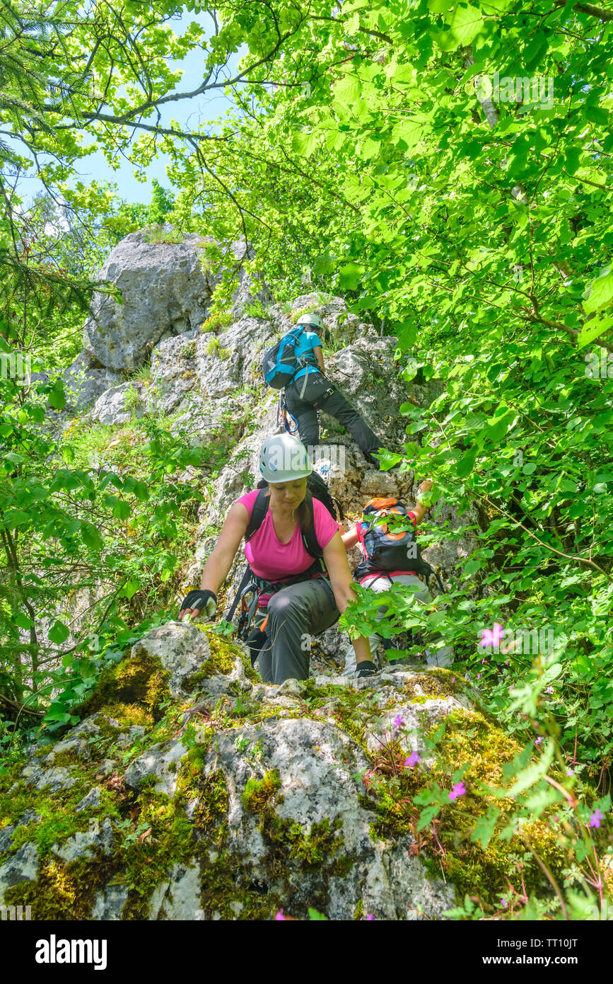 Wandern und Klettern auf einem Forst- und Rocky Trail mit Klettersteig Passagen Stockfoto