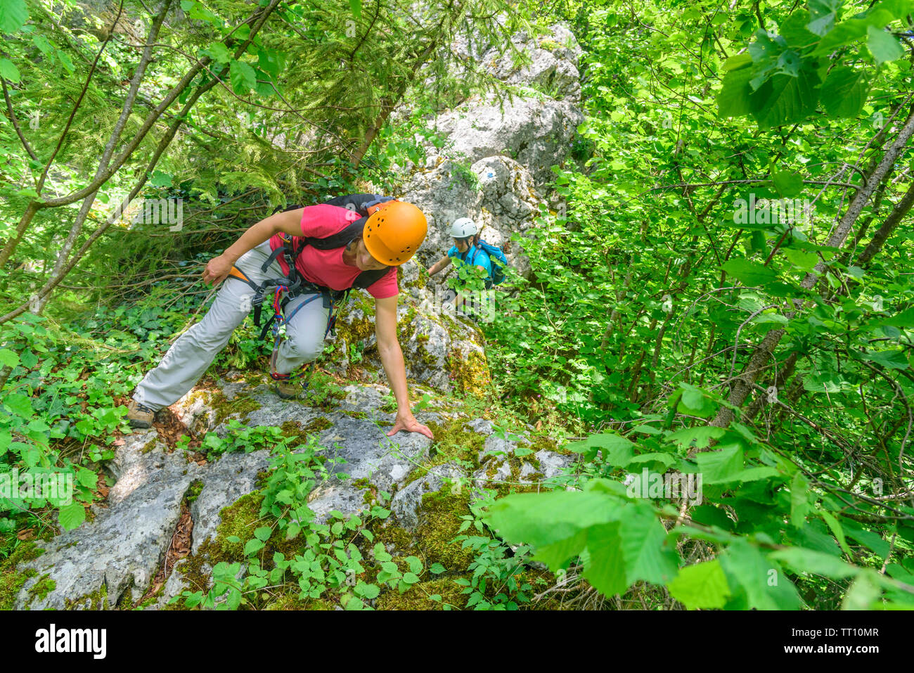 Wandern und Klettern auf einem Forst- und Rocky Trail mit Klettersteig Passagen Stockfoto
