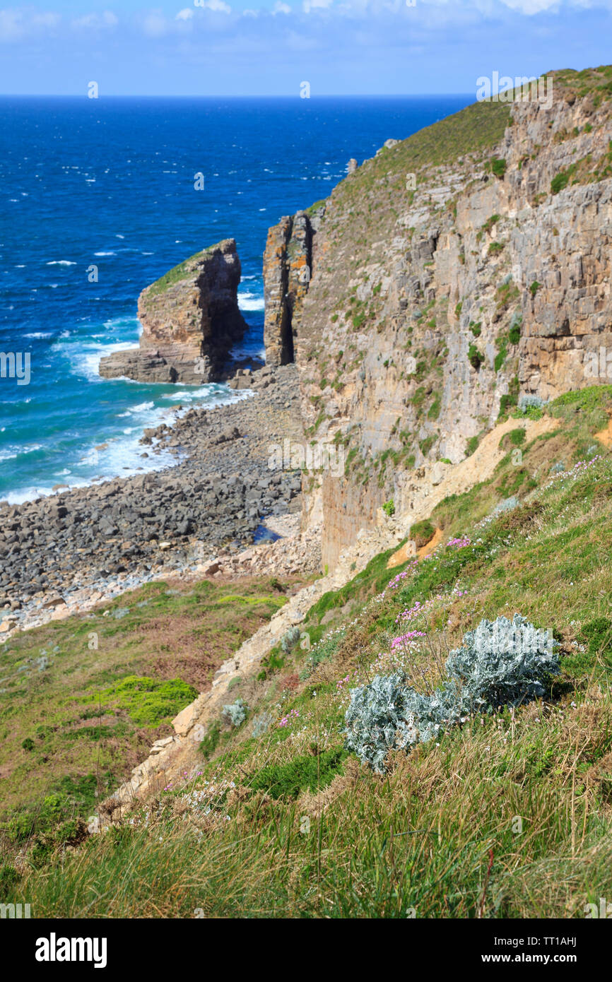 Cap Fréhel, Erquy, Côtes d'Armor, Bretagne, Bretagne, Frankreich, Europa. Foto V.D. Stockfoto