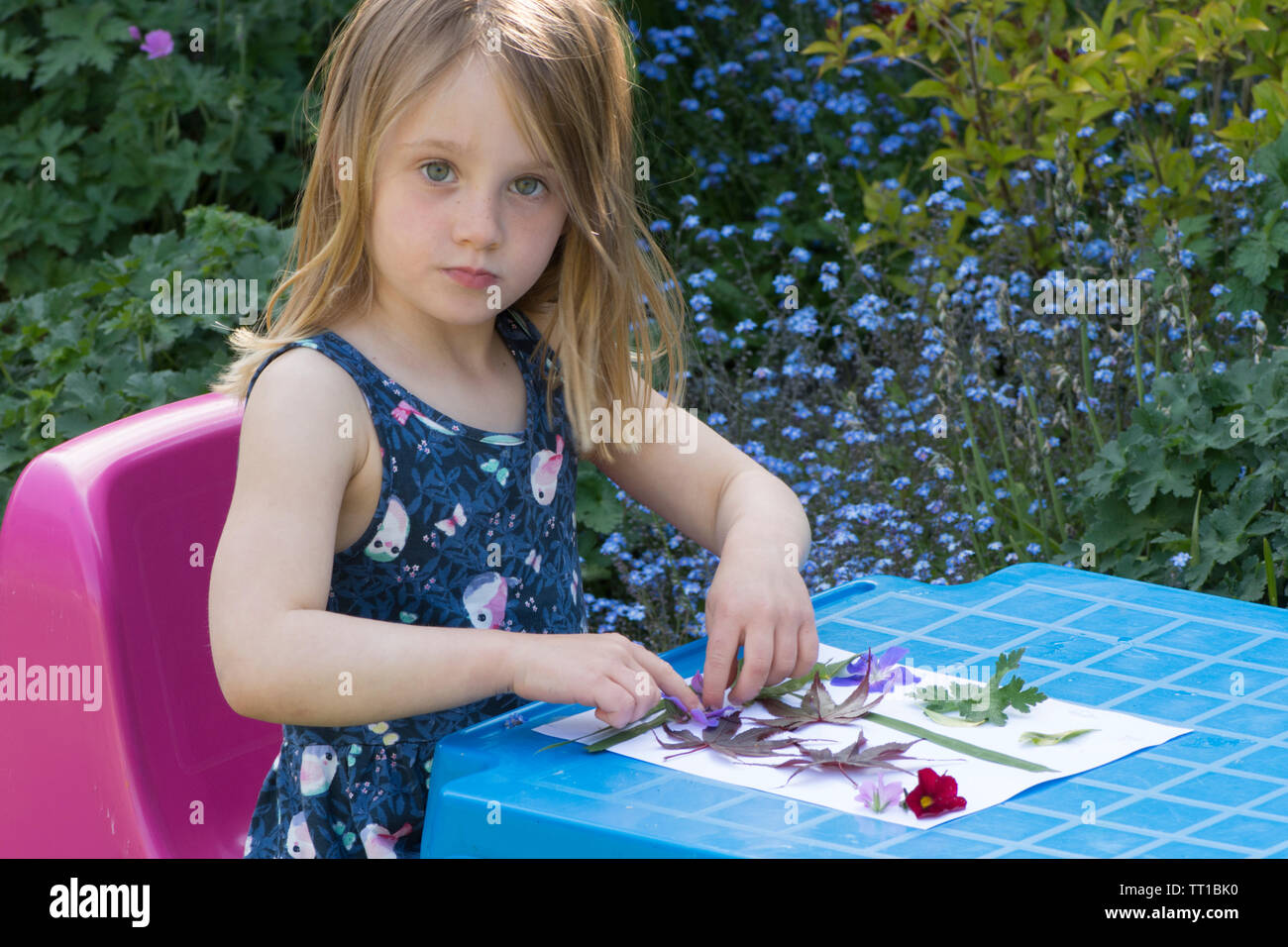 Drei Jahre altes Mädchen in einem Kleid an einem kleinen Tisch sitzen im Garten, so dass ein Bild von Blumen und Blättern auf Papier geklebt, Natur Kunst Handwerk Stockfoto
