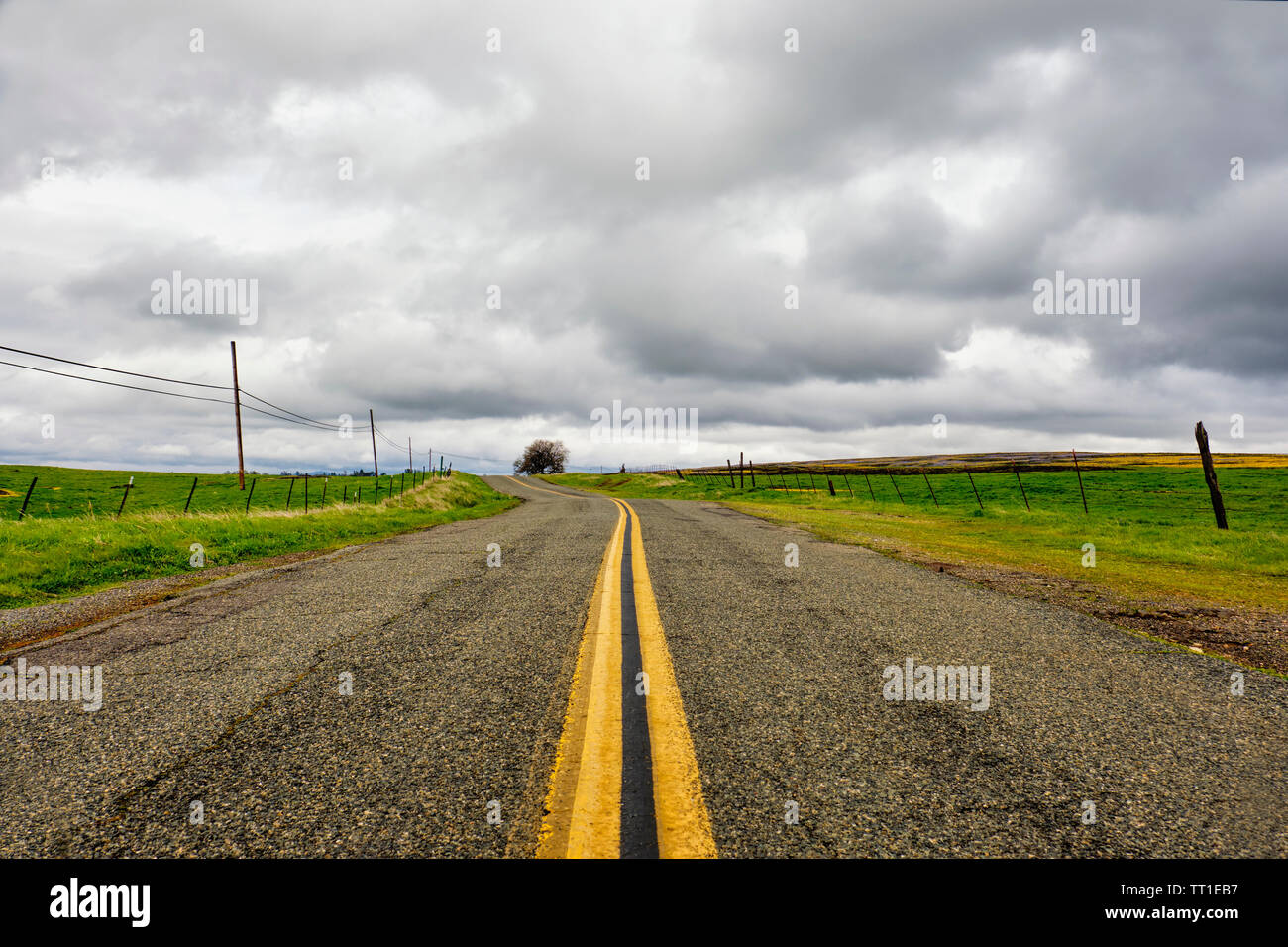 Niedrige Winkel von einer Landstraße, die durch pature Land unter dem Deckmantel der Dunkle Regenwolken. Stockfoto