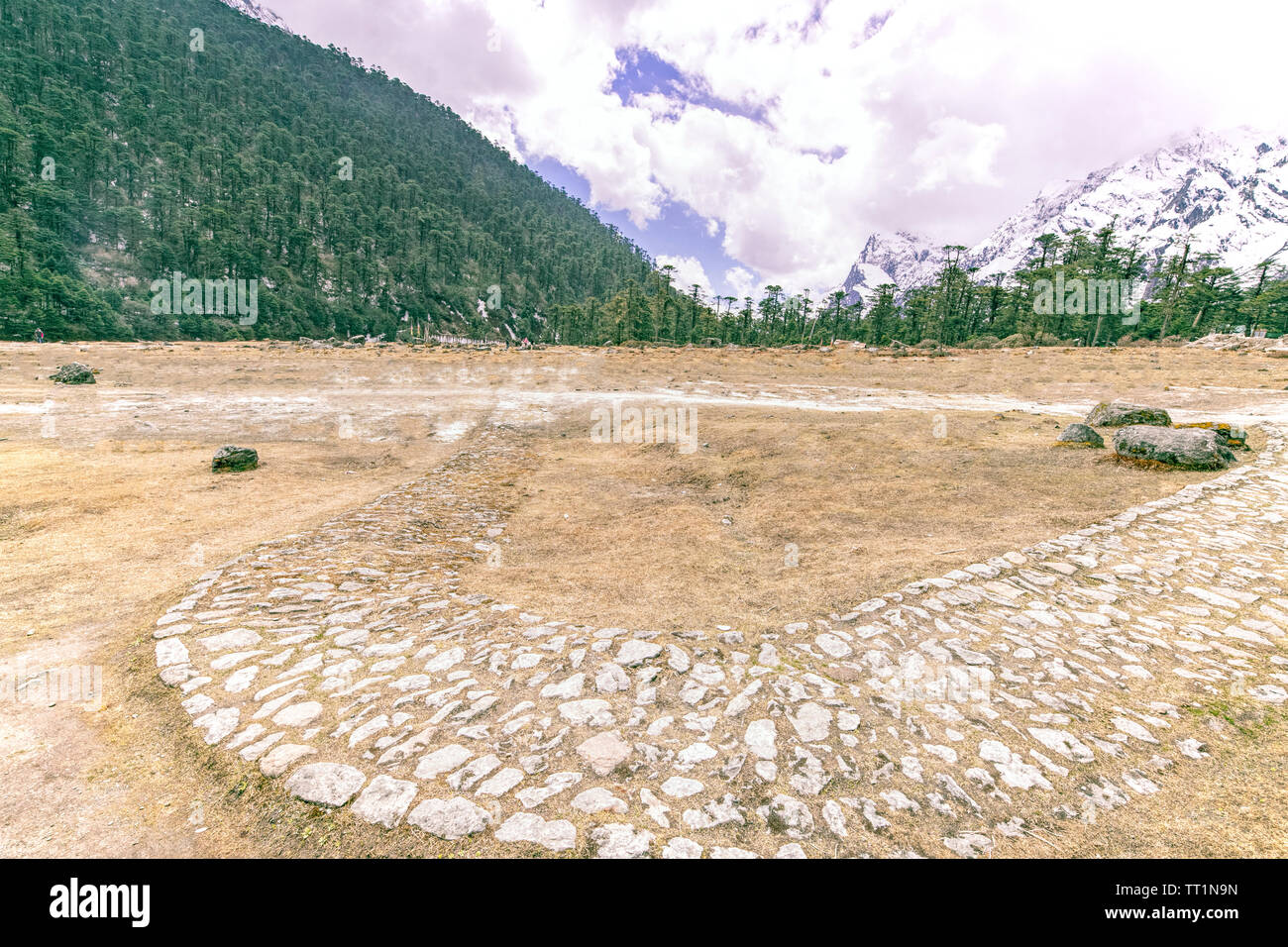 Panorama, Lachung, Fluss, Ebene, Tannen, Berg, Pisten, Schnee bedeckten, Hügel, valleyblue Yungtham, Himmel, weiß, Wolken, circulr Weg, mit, Pflastersteine, Nort Stockfoto