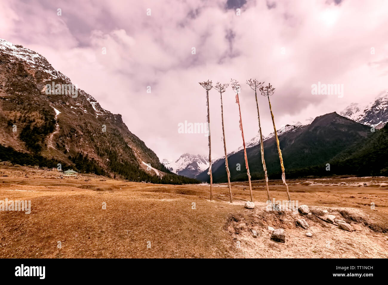 Panorama, Yungtham, Valley, Lachung, Fluss, bewaldete Hügel, schneebedeckte Berge, Nord Sikkim, Indien. Stockfoto