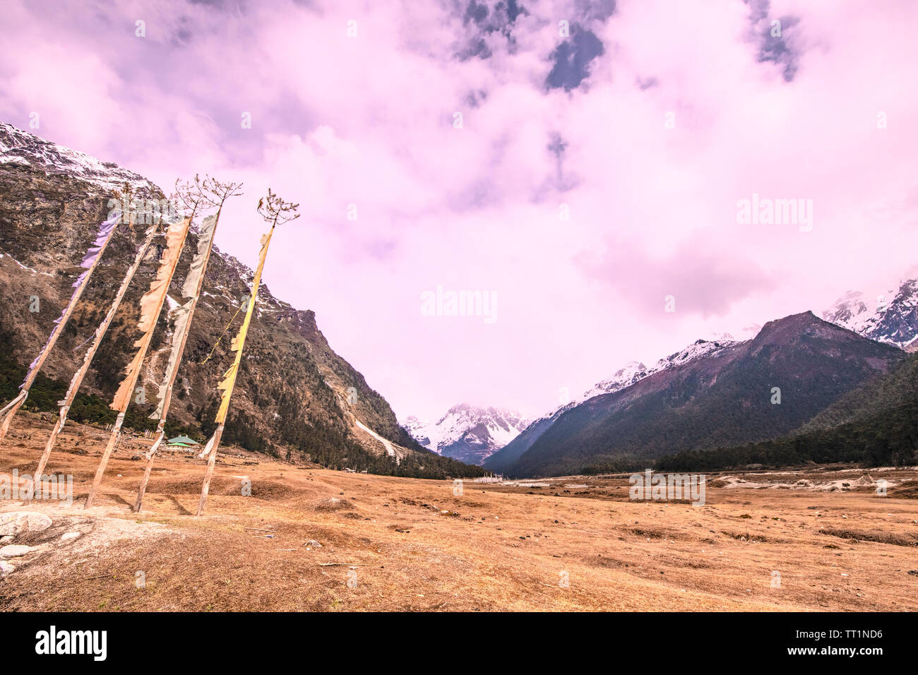 Panorama, Yungtham, Tal, Fluss, Lachung, fließende, durch bewaldete Hügel, Schnee Nord Sikkim, Indien. Stockfoto