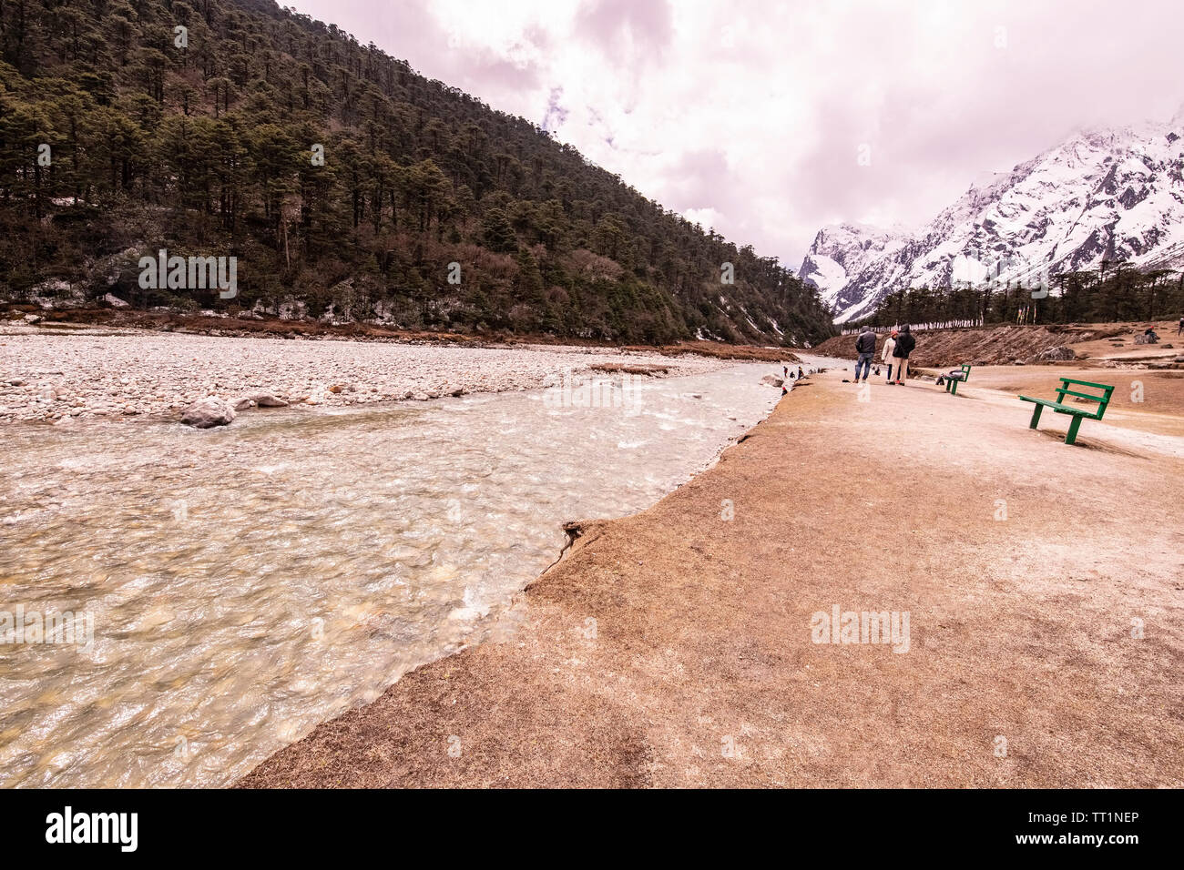 Lachung Fluss, Konferenz, Schnee, Gipfel, an Yungtham Tal, Touristen, wandern, auf, Fluss, Bank, Nord Sikkim, Indien. Stockfoto