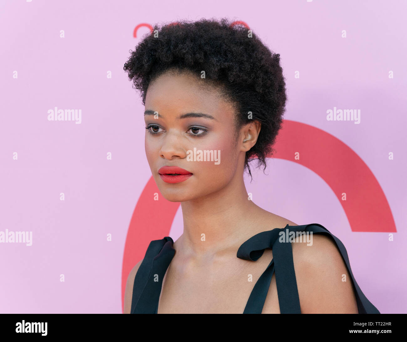 New York, NY - Juni 3, 2019: Ayesha Sesay tragen Kleid von Christopher John Rodgers besucht 2019 CFDA Fashion Awards am Brooklyn Museum Stockfoto