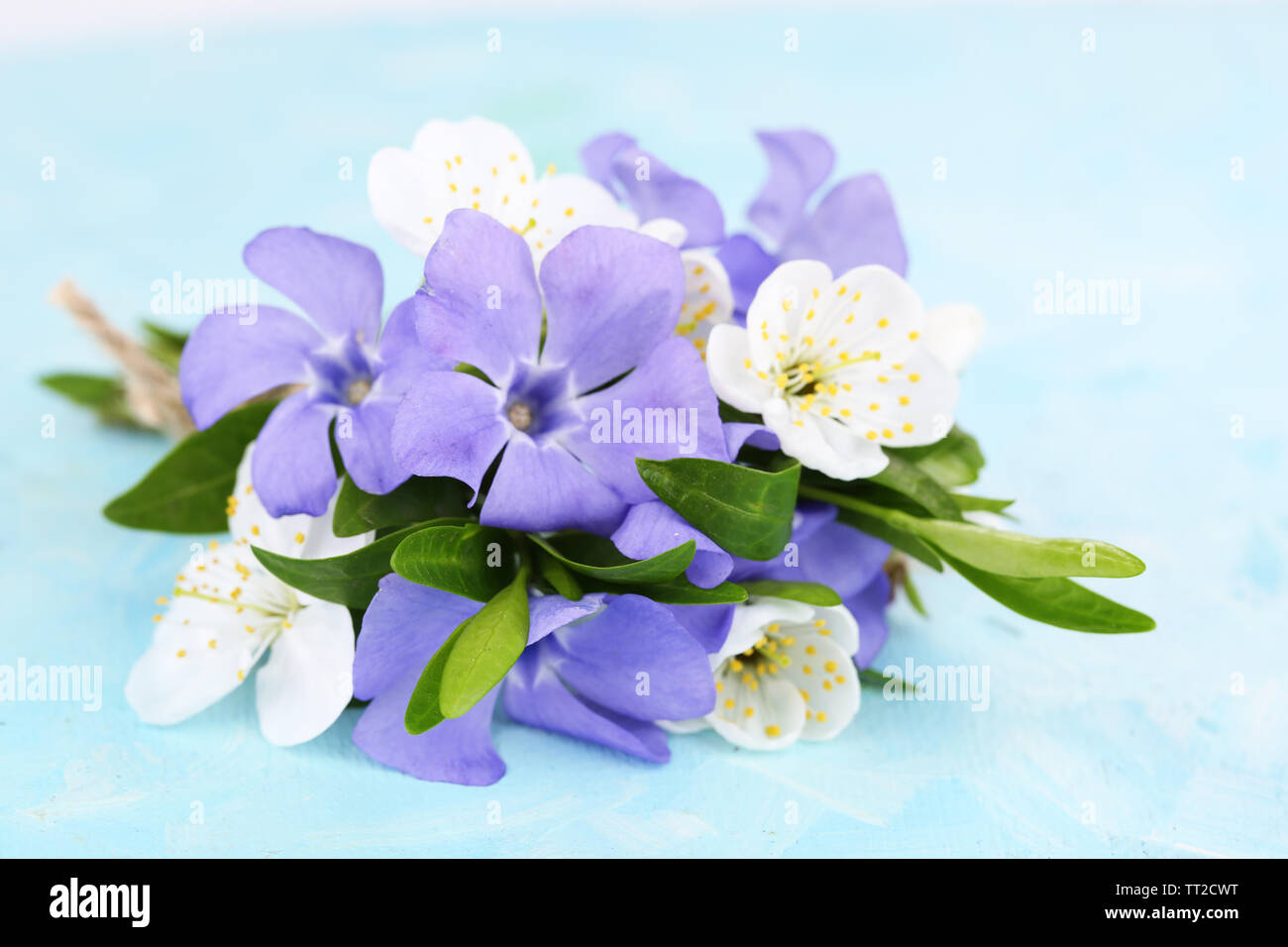 Schönen Blumenstrauß mit periwinkle Blumen auf blau Tabelle Stockfoto