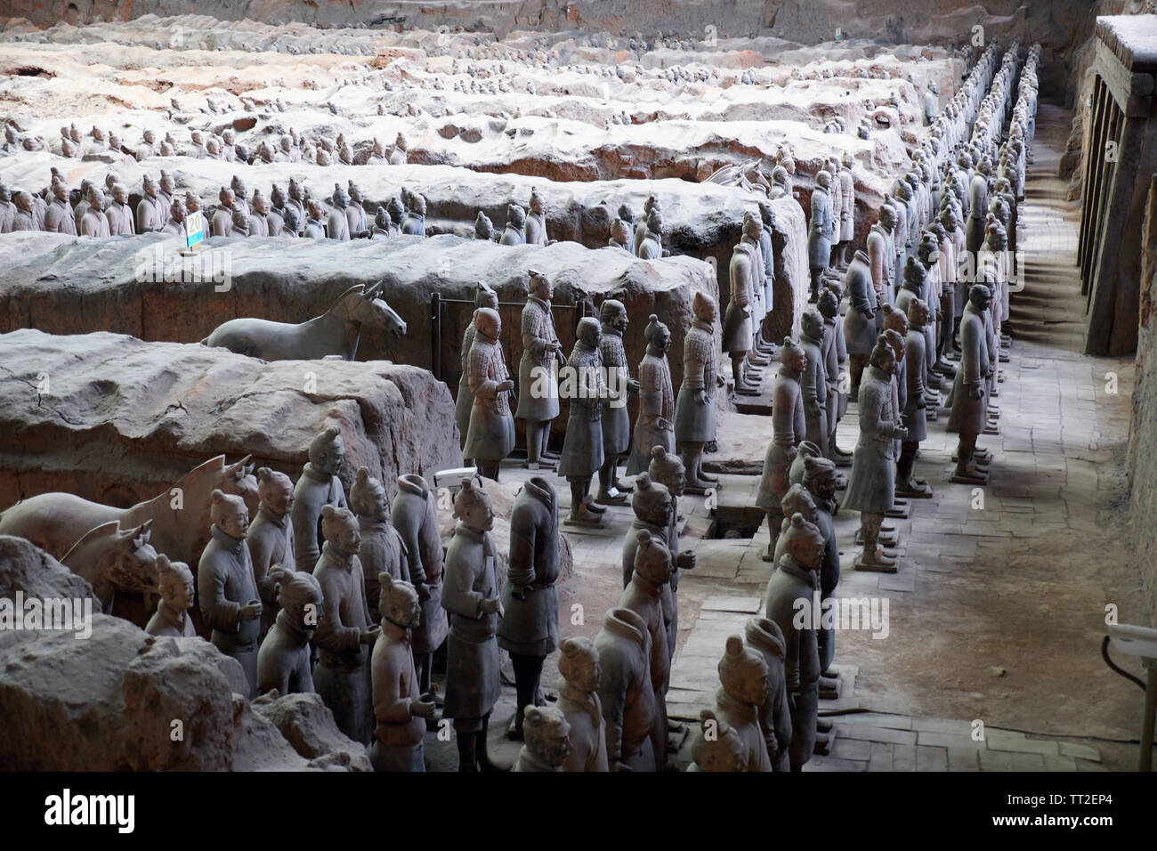 Blick auf die Terra-Cotta-Krieger mit der Avantgarde Front, Xian, Shaanxi, China Stockfoto