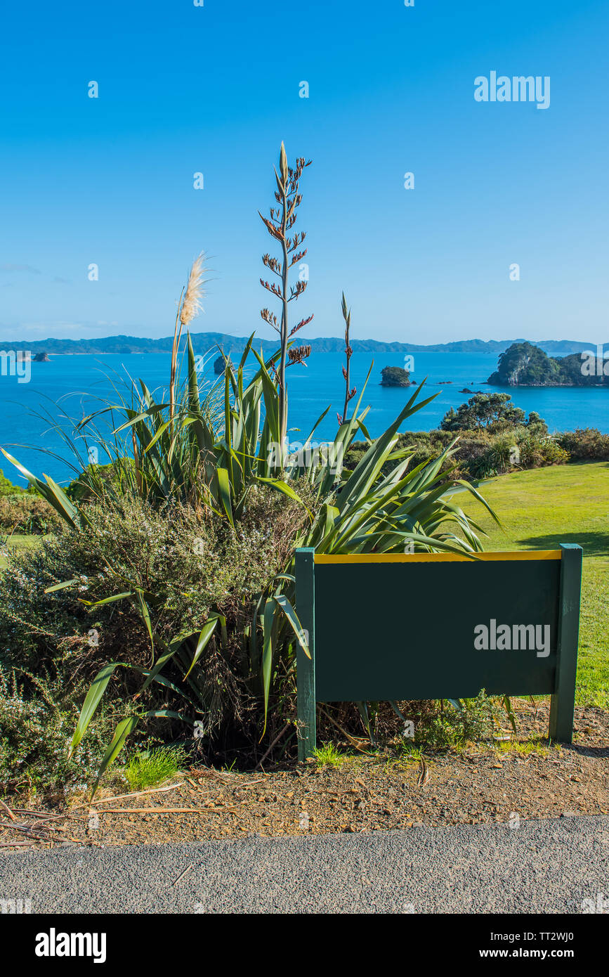 Blick auf die Küste, Coromandel Halbinsel, North Island, Neuseeland. Kopieren Sie Platz für Text. Vertikale Stockfoto