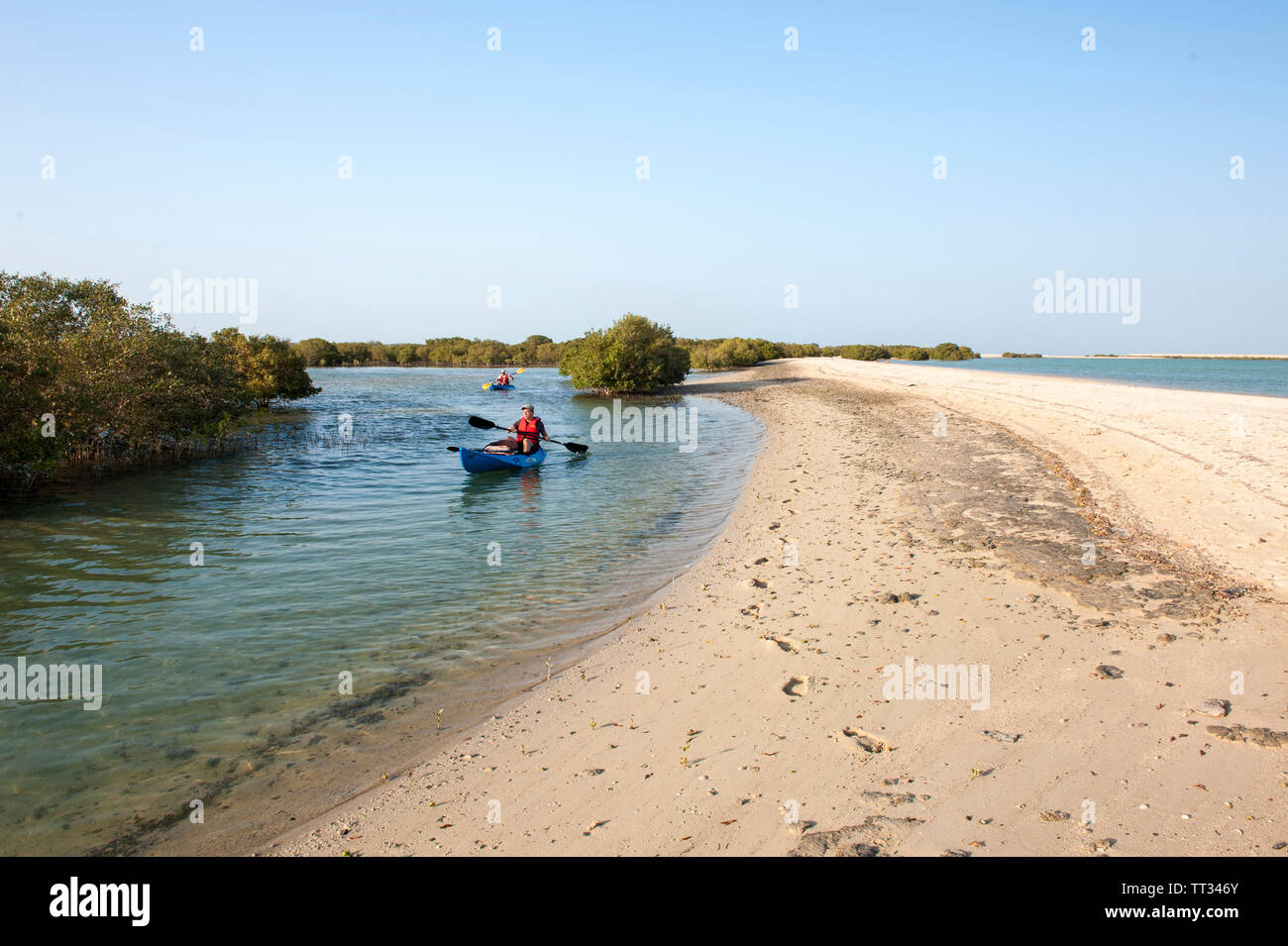 Kajak in den Mangrovenwald auf Sir Bani Yas, einer Insel im Persischen Golf, Vereinigte Arabische Emirate. Stockfoto