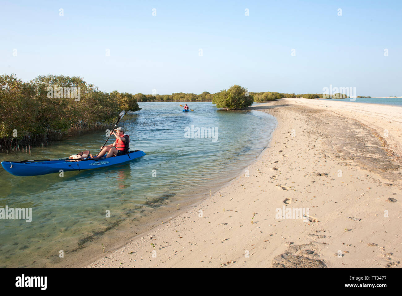 Kajak in den Mangrovenwald auf Sir Bani Yas, einer Insel im Persischen Golf, Vereinigte Arabische Emirate. Stockfoto