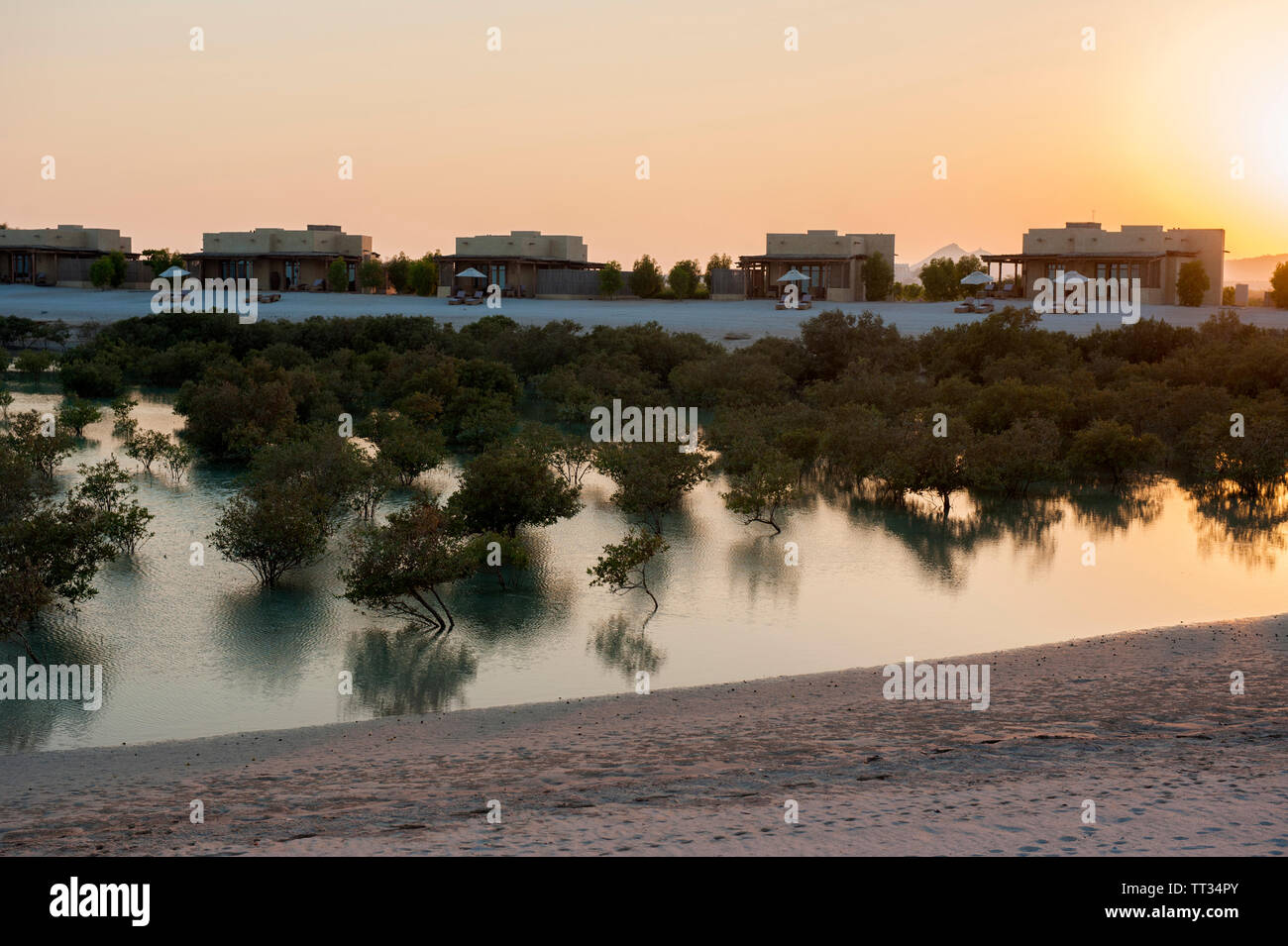 Die Villen im Anantara Al Yamm Villa Resort auf Sir Bani Yas, einer Insel im Persischen Golf, Vereinigte Arabische Emirate. Stockfoto