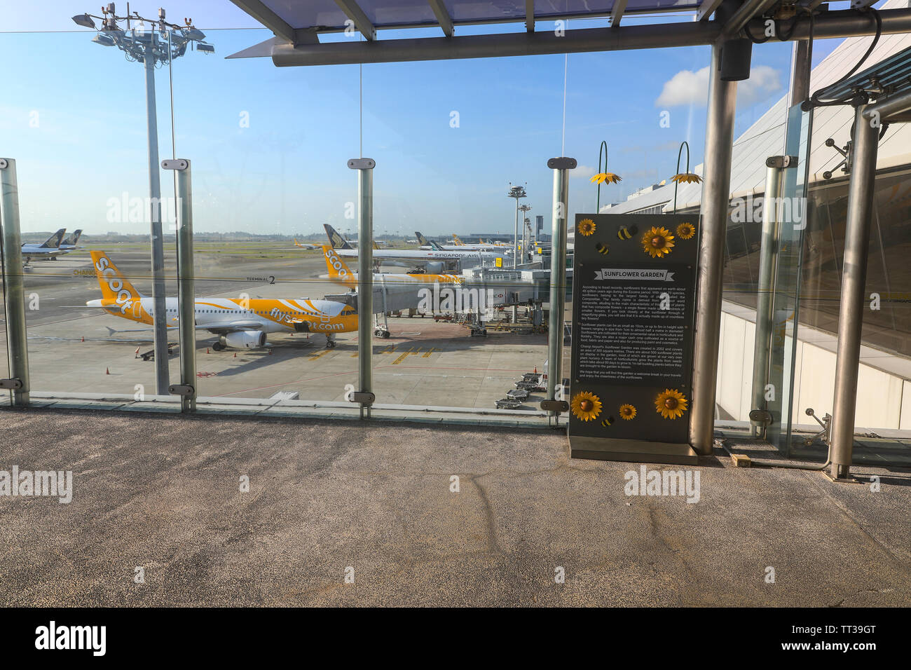 Singapur Changi International Airport, Singapur, Südostasien Stockfoto