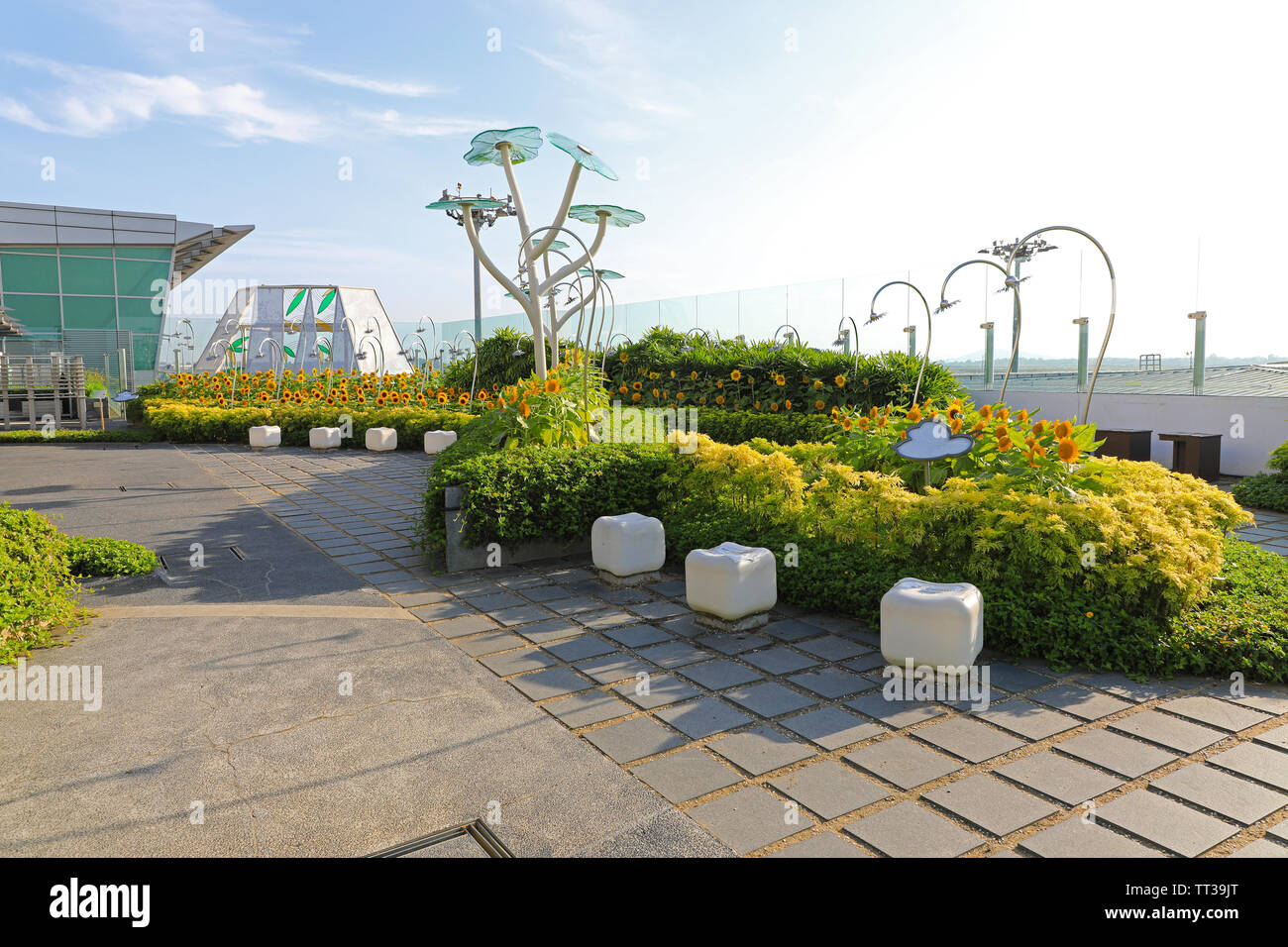 Die Sonnenblume Gärten in Singapur Changi International Airport, Singapur, Südostasien Stockfoto