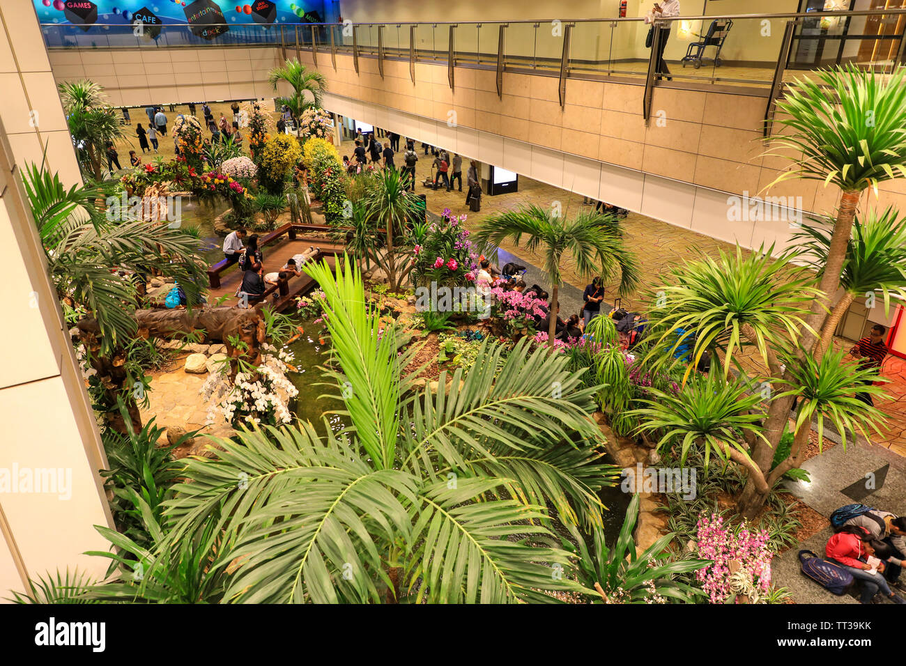 Die abflughalle Garten- und Landschaftsbau in Singapur Changi International Airport, Singapur, Südostasien Stockfoto