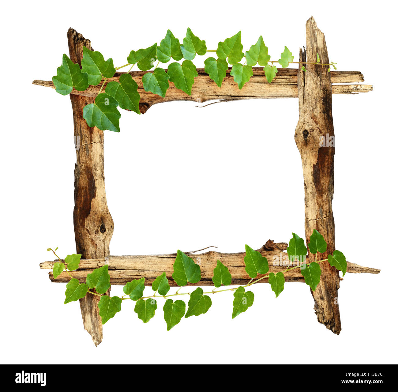 Rahmen mit alten Stücke Holz und Efeu Zweige auf weißem Hintergrund  Stockfotografie - Alamy