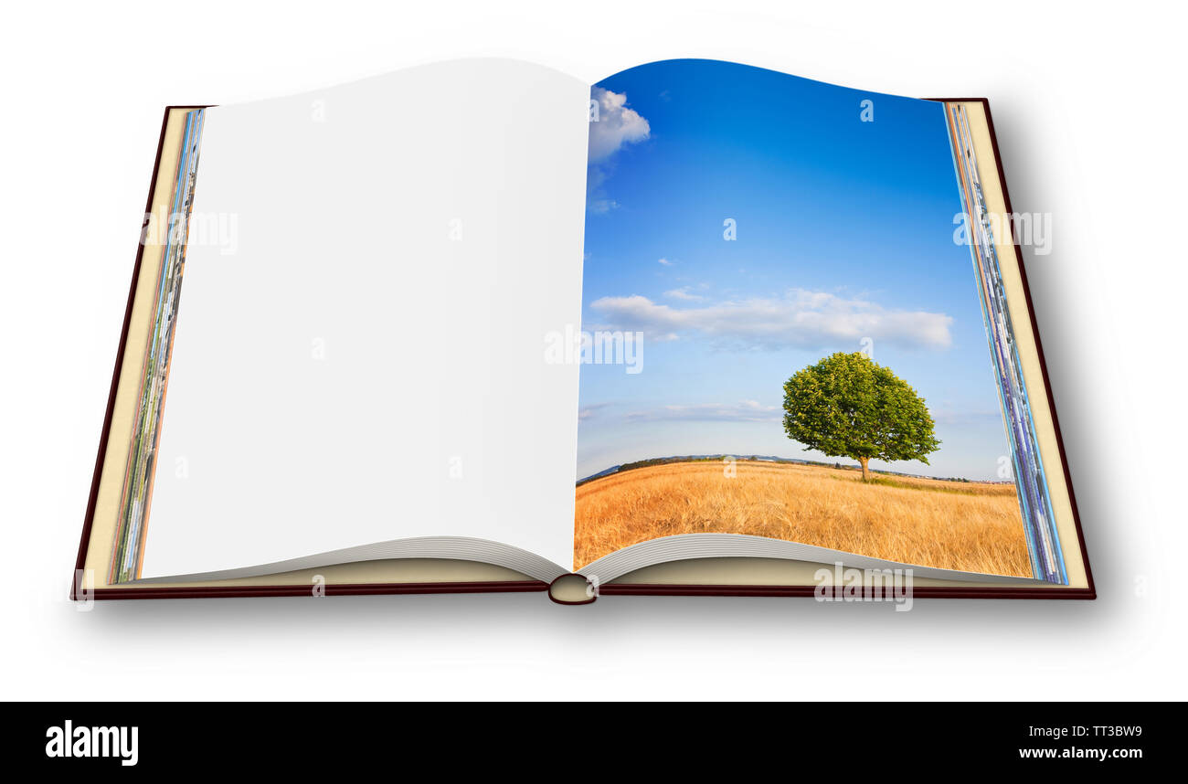 Remote Baum in einem toskanischen wheatfield - (Toskana, Italien) - Geöffnet Fotobuch auf weißem Hintergrund - ich bin der Urheber der Bilder verwendet Stockfoto