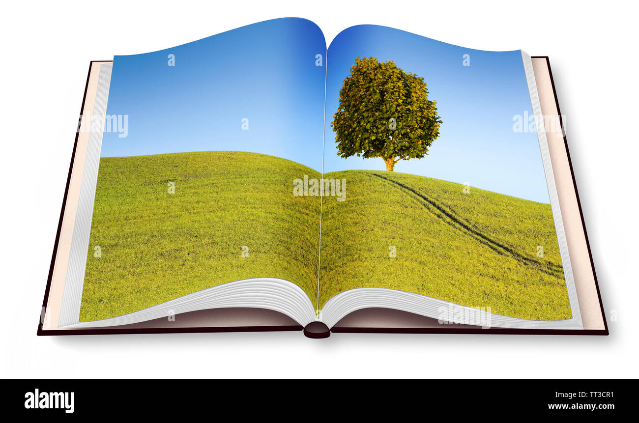 Isolierte Baum in einem Toskana wheatfield - (Italien) - rd Rendering eines geöffneten Fotobuch auf weißem Hintergrund - ich bin der Inhaber des Urheberrechts der im Stockfoto