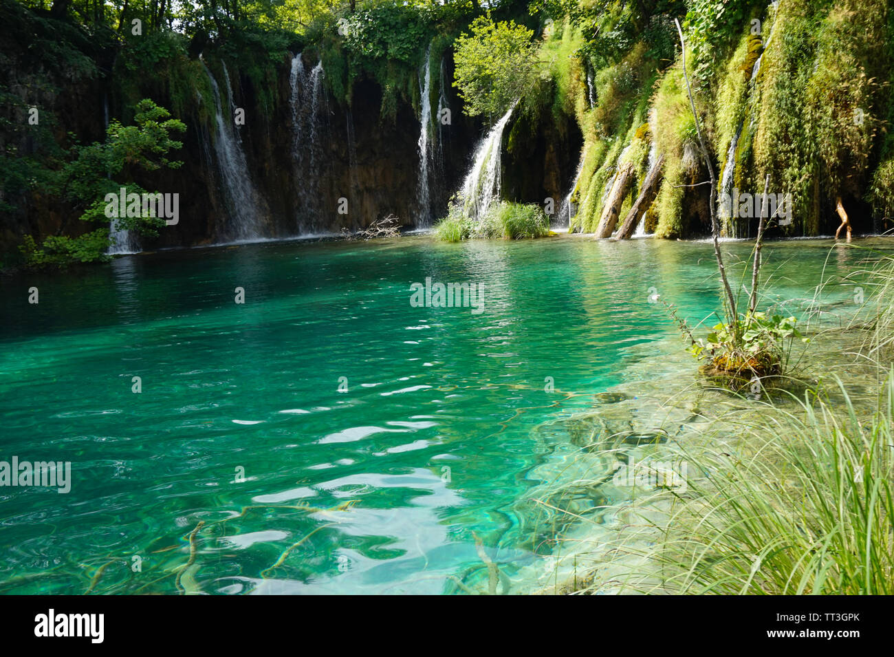 Nationalpark Plitvicer Seen in Kroatien an einem sonnigen Nachmittag im Sommer mit einigen kleinen Wasserfällen, die in einem Teich fallen. Stockfoto