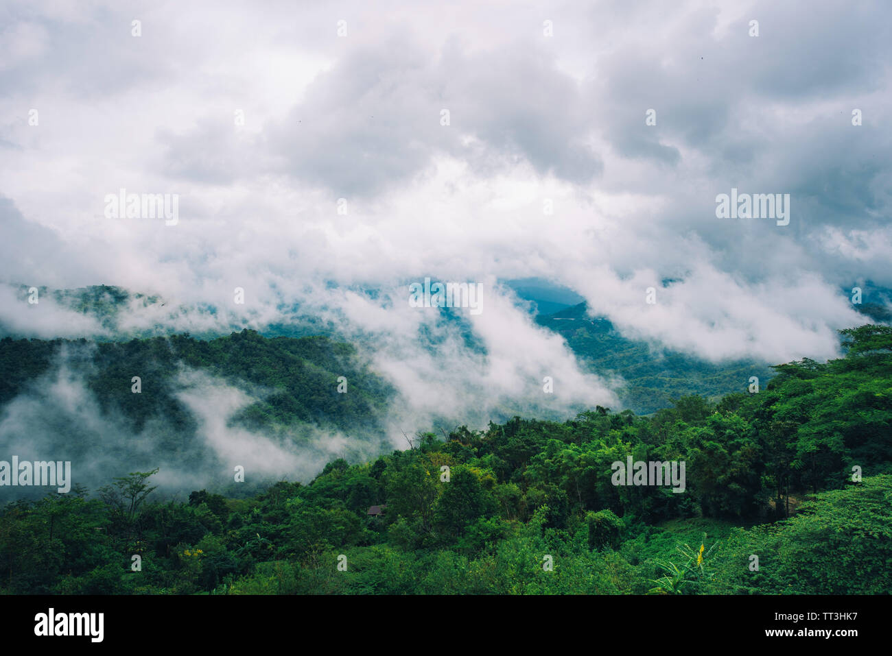 Nebel in den Bergen mit dramatischen Himmel tagsüber in Thailand. Stockfoto