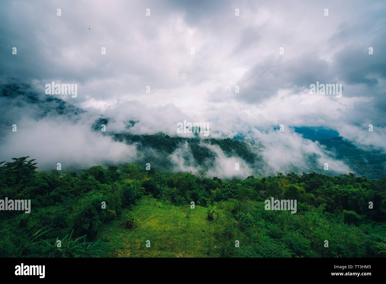 Nebel in den Bergen mit dramatischen Himmel tagsüber in Thailand. Stockfoto