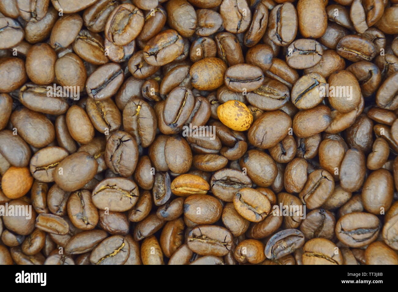 Geröstete Kaffeebohnen Hintergrund. Stockfoto