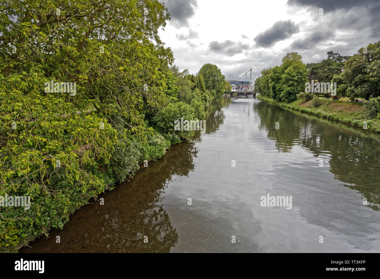 Fluss Taff in Bute Park, Cardiff, Wales, UK. Mittwoch 12. Juni 2019 Stockfoto