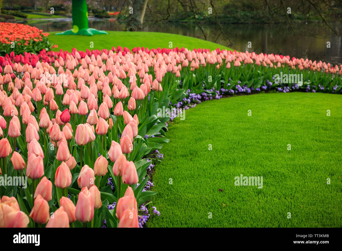 Tulip Park Keukenhof, Lisse, Niederlande Stockfoto