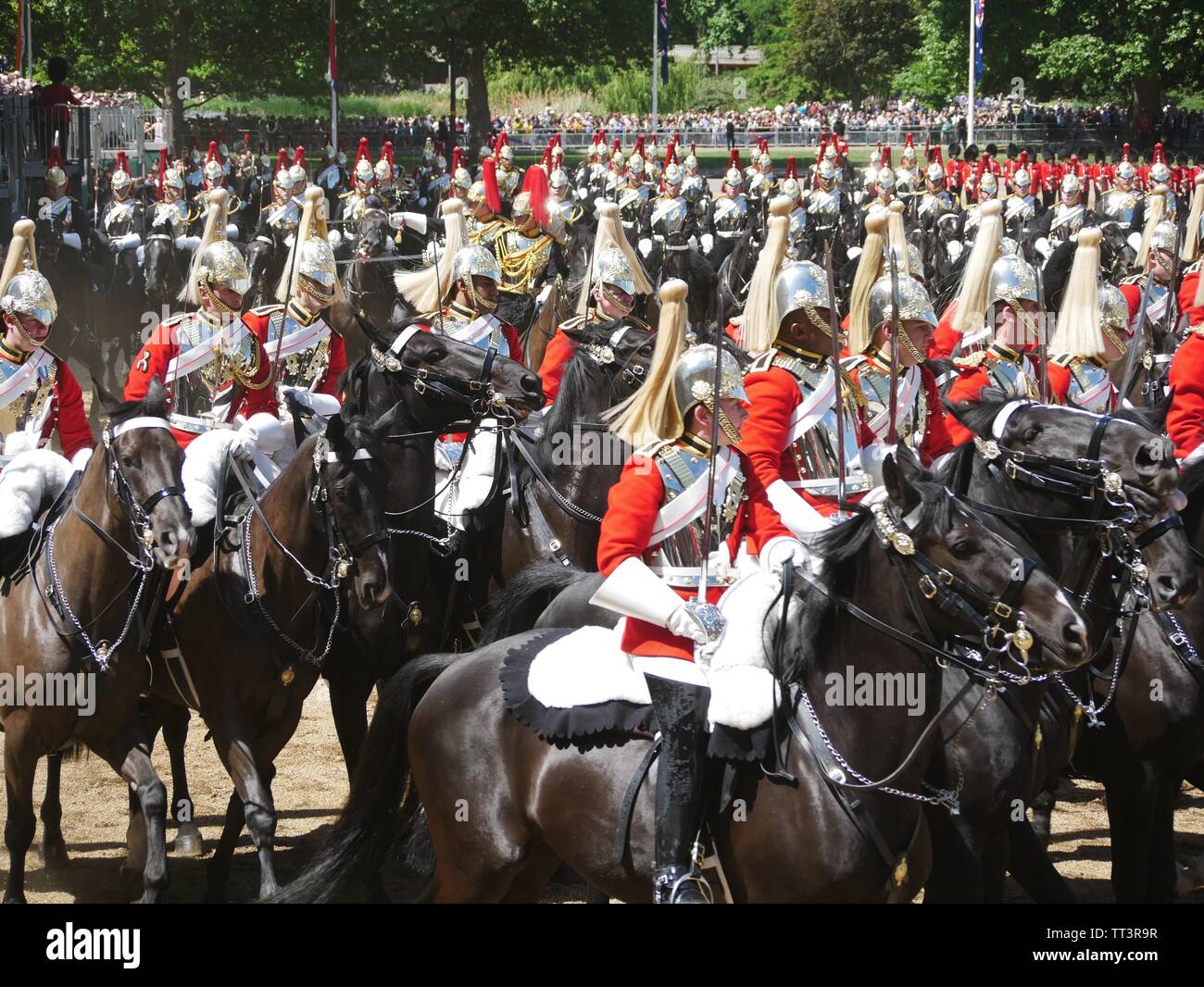 Die Farbe 2019, Horse Guards Parade, London, England Stockfoto