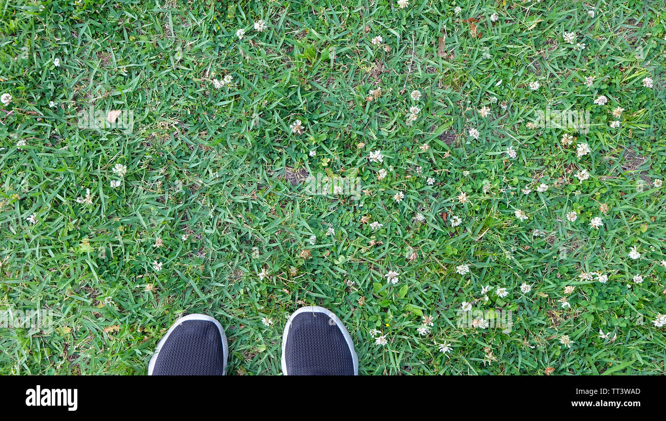 Grüne Gras mit kleinen weißen Blüten, und die Spitze von ein paar schwarze Schuhe. Ansicht von oben. Stockfoto