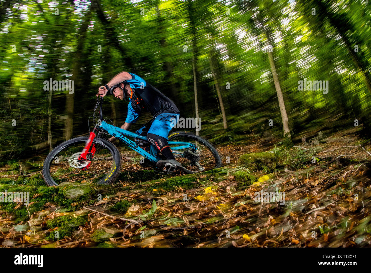 Ein Mann reitet ein Mountainbike bei der Geschwindigkeit auf einem Wanderweg durch die Wälder in der Nähe von Bristol im Südwesten Englands. Stockfoto