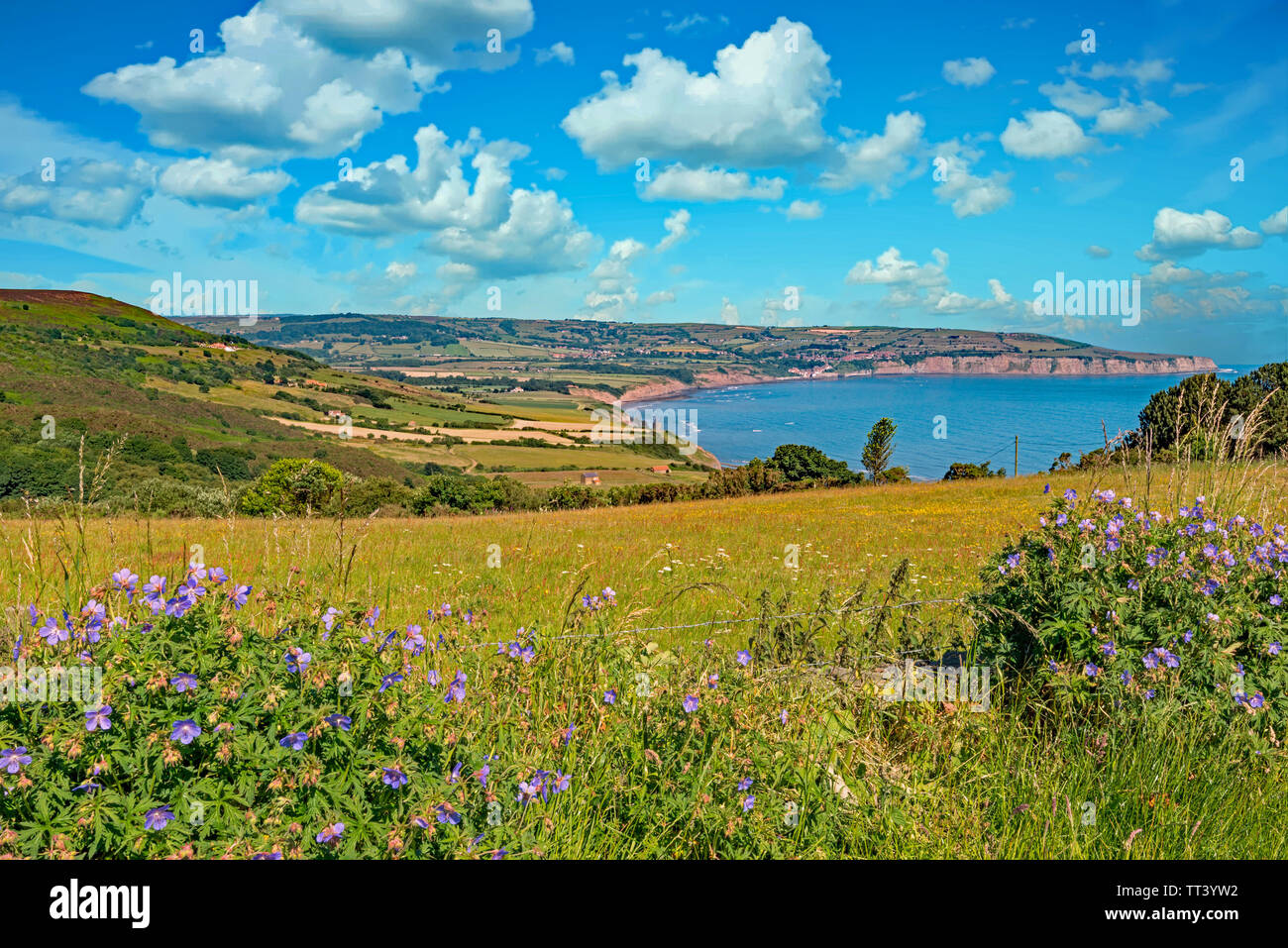 Robin Hood Bay gesehen von ravenscar in der North Yorkshire Moors National Park an einem Sommertag. Robin Hoods Bay ist ein Fischerdorf. Stockfoto