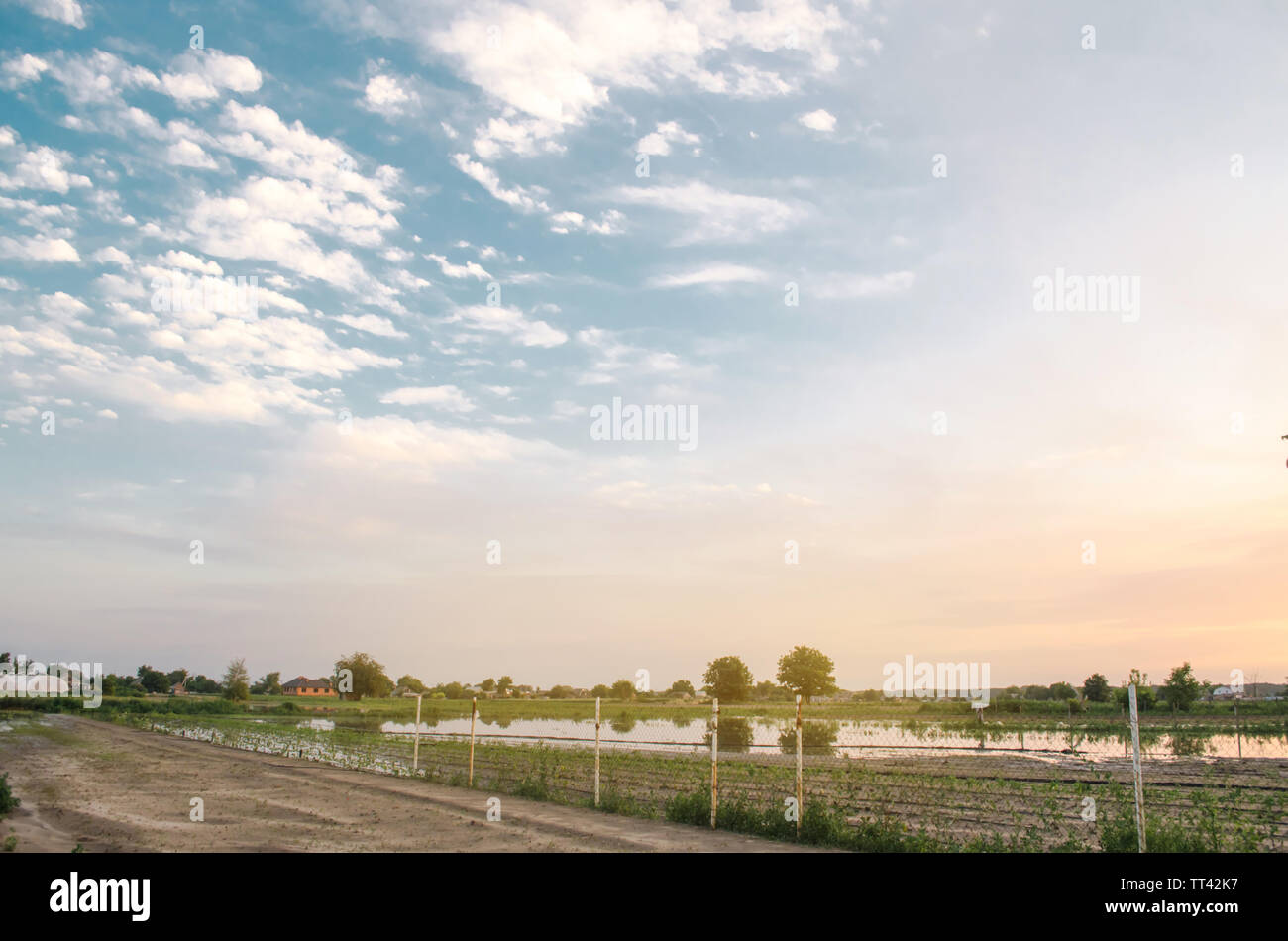 Naturkatastrophen und Ernteverluste Risiken. Überschwemmte Feld Infolge starker Regen. Hochwasser auf der Farm. Agrar- und Landwirtschaft. Ukraine, Kherson Region. Se Stockfoto