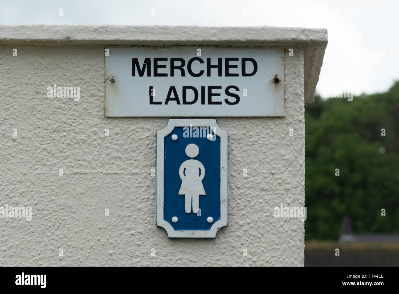 Die walisische Sprache Zeichen für öffentliche Toiletten in Wales. Damen - merched Stockfoto