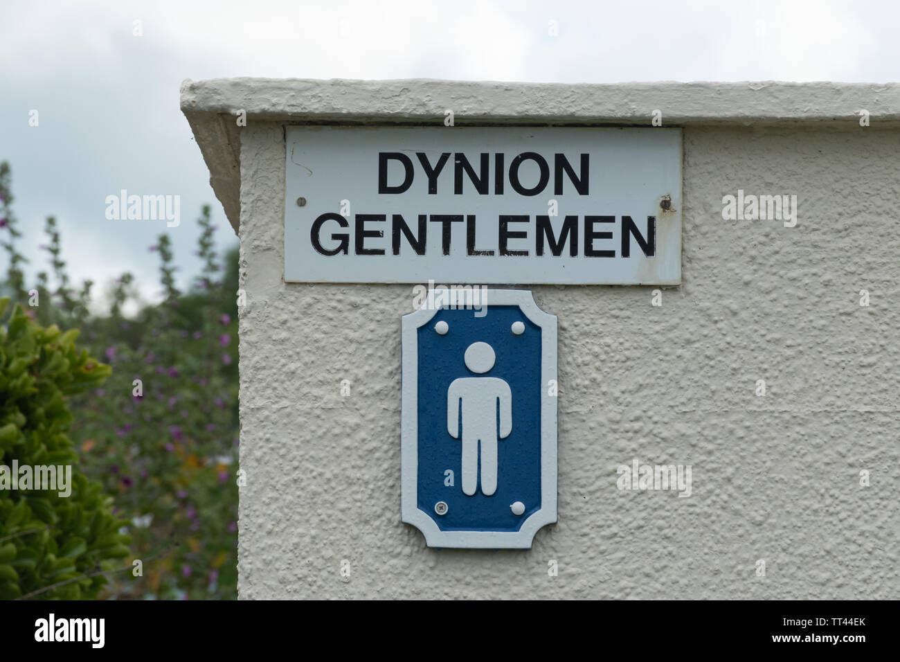 Die walisische Sprache Zeichen für öffentliche Toiletten in Wales. Herren oder Damen WC - dynion Stockfoto
