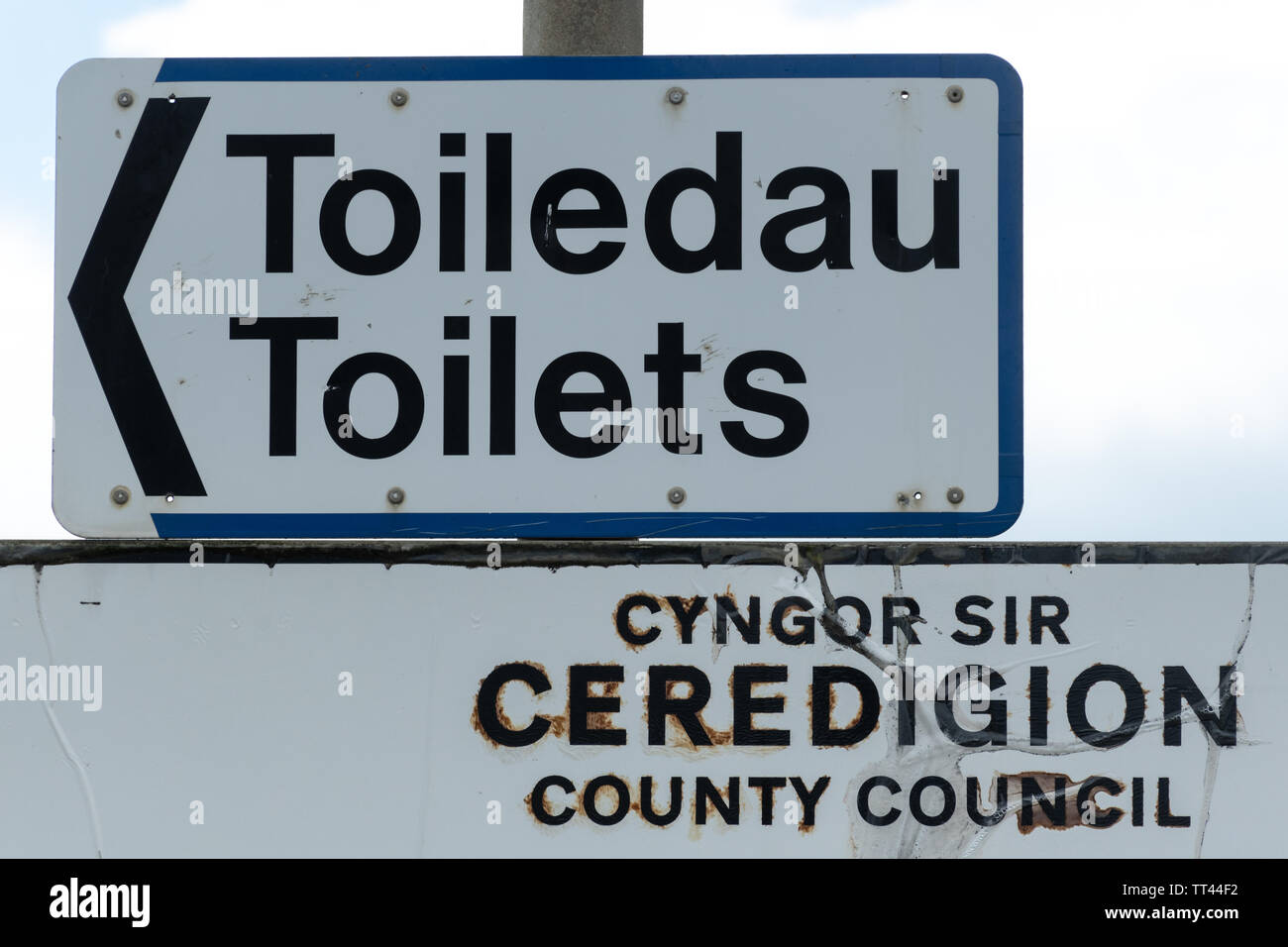 Die walisische Sprache Zeichen für öffentliche Toiletten - toiledau, Ceredigion, Wales Stockfoto