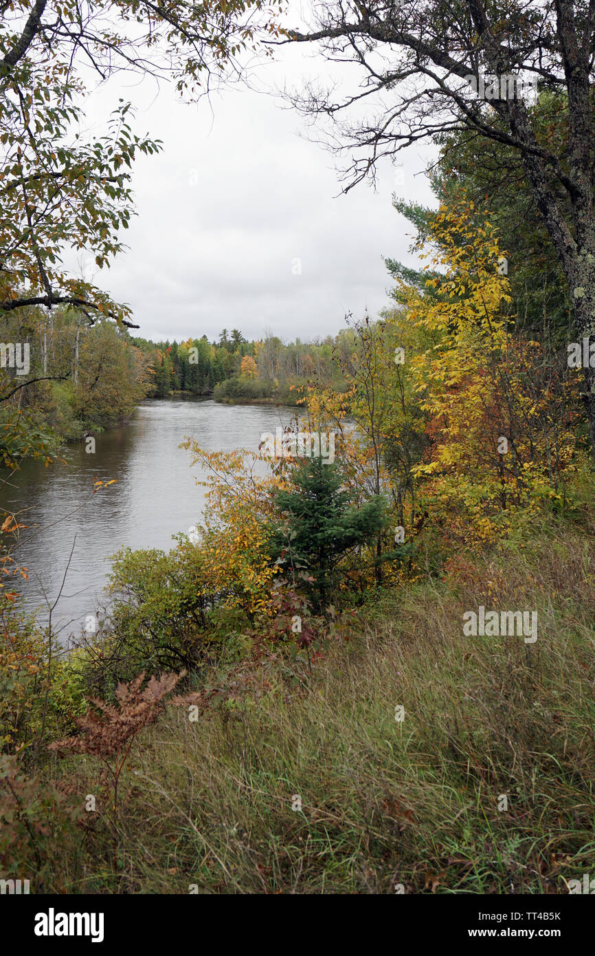 Herbst Farben entlang der Au Sable River Stockfoto