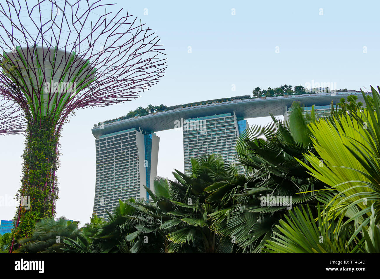 Marina Bay Sands Singapur und die Gärten an der Bucht, Singapur, Asien Stockfoto