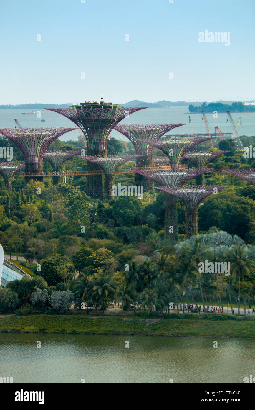 Die atemberaubende Supertree Grove, an der Singapur Gärten durch die Bucht Stockfoto