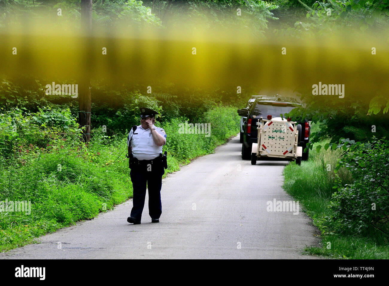 Philadelphia, USA. 13. Juni, 2019. Eine sichere Perimeter ist als Forrest Förster eine Suche für einen Bären auf der Lose in einem bewaldeten Gebiet in der Andorra Nachbarschaft durchführen, nachdem mehrere Bewohner Sightings in Montgomery County und Nordwesten Philadelphia, PA, am 13. Juni 2019 gemeldet. Wenn selten innerhalb der Stadtgrenzen es ist nicht ungewöhnlich, in dieser Zeit des Jahres als junge Bären starten, nachdem sie durch ihre Mütter geschoben zu migrieren. Credit: OOgImages/Alamy leben Nachrichten Stockfoto