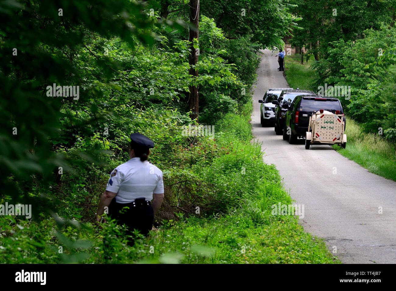 Philadelphia, USA. 13. Juni, 2019. Polizisten und Forrest Förster Suche ein Waldgebiet während fünf Tag lang Verfolgung für eine zwei-jährige Männlich Black Bear nach mehreren Bewohner berichteten Sichtungen in Montgomery County und Nordwesten Philadelphia, PA, am 13. Juni 2019. Wenn selten innerhalb der Stadtgrenzen es ist nicht ungewöhnlich, in dieser Zeit des Jahres als junge Bären starten, nachdem sie durch ihre Mütter geschoben zu migrieren. Credit: OOgImages/Alamy leben Nachrichten Stockfoto