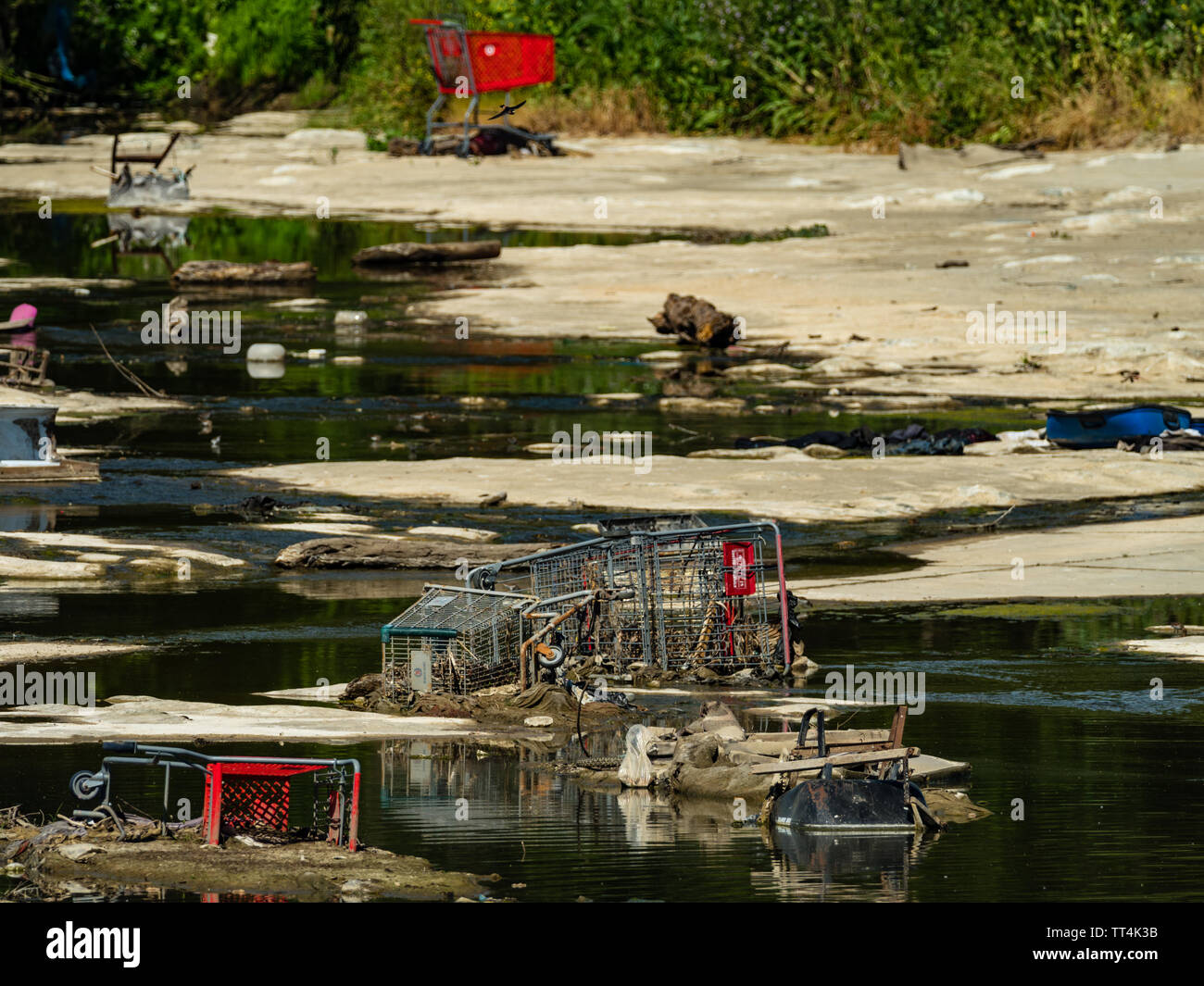 Verlassene Warenkörbe und Müll Linie der Los Angeles River im San Fernando Valley Los Angeles Calironia, USA Stockfoto