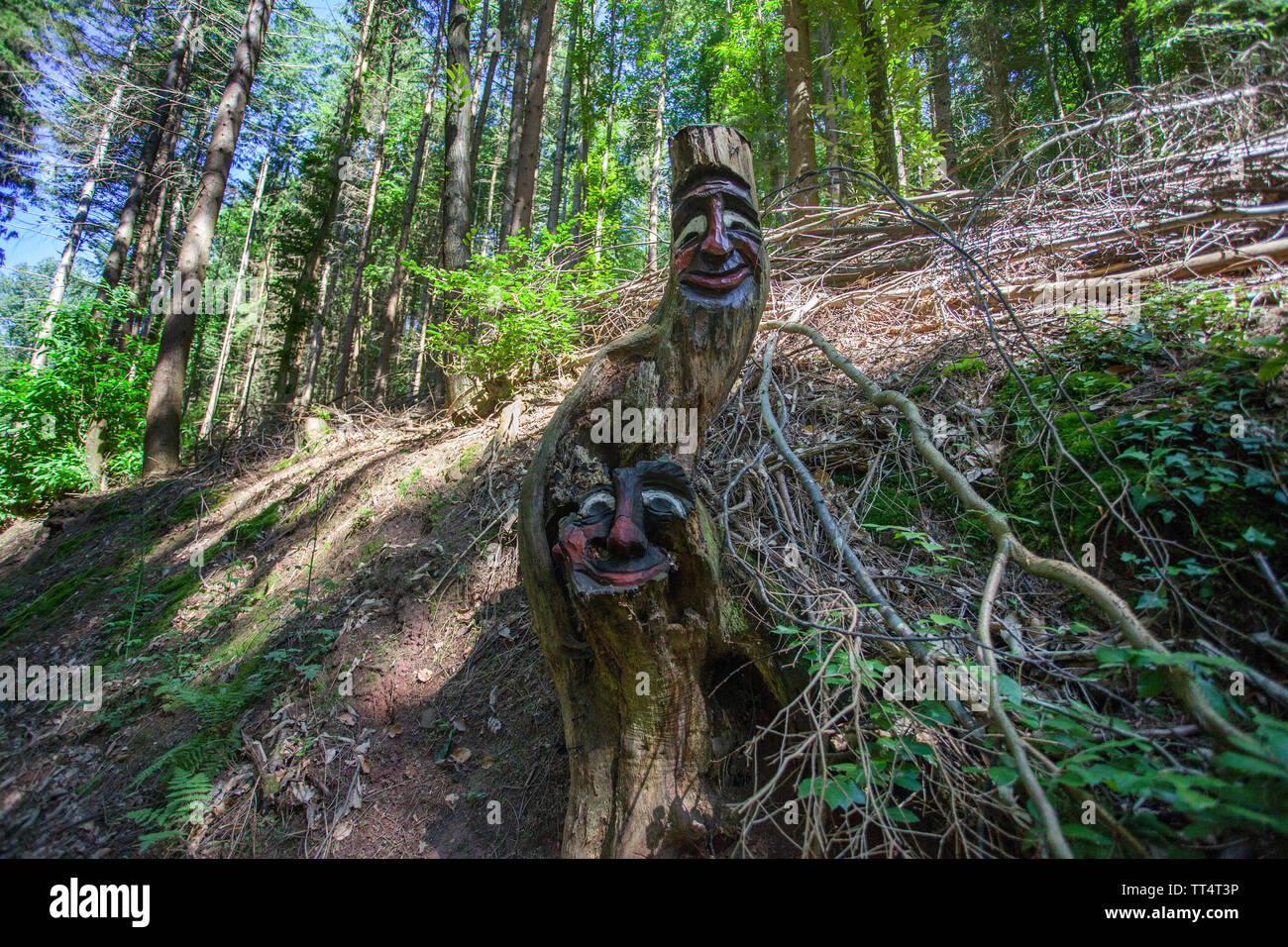 Geschnitzte Gesichter in einem Baumstamm, Wald Geister Trail (deutsch: Waldgeisterweg), Oberotterbach, Deutsche Weinstraße, Rheinland-Pfalz, Deutschland Stockfoto