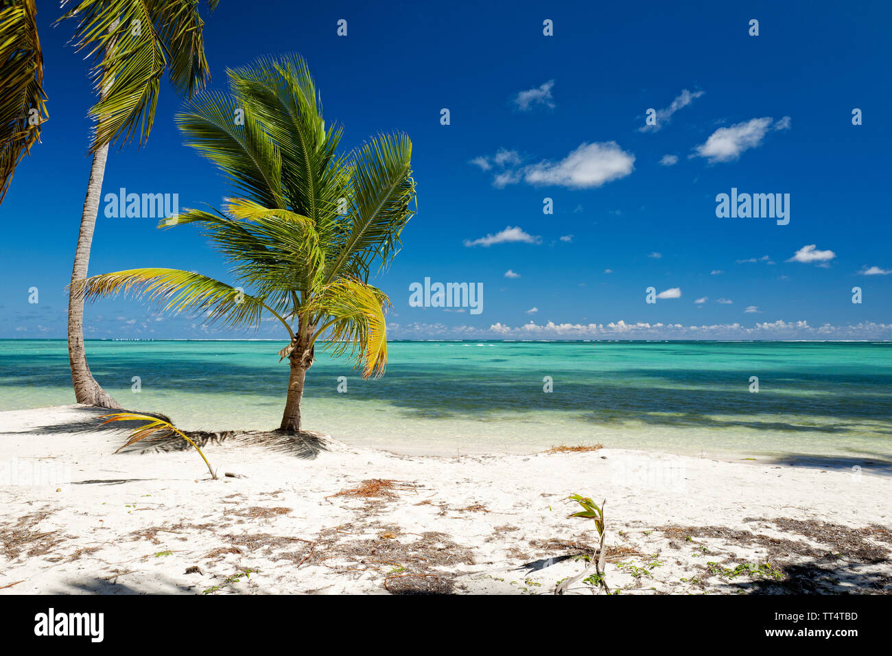 Playa Bavaro Dominikanische Republik Stockfoto
