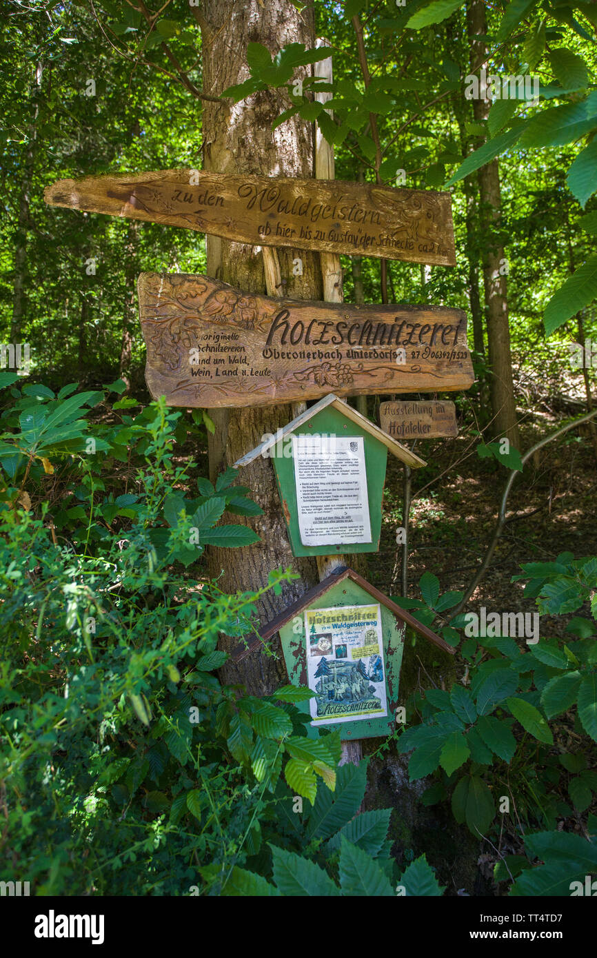Geschnitzten Wegweiser im Wald Geister Trail (deutsch: Waldgeisterweg), Oberotterbach, Deutsche Weinstraße, Rheinland-Pfalz, Deutschland Stockfoto