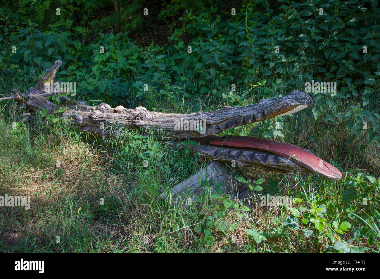 Geschnitzte Krokodil in einem Baumstamm, Wald Geister Trail (deutsch: Waldgeisterweg), Oberotterbach, Deutsche Weinstraße, Rheinland-Pfalz, Deutschland Stockfoto