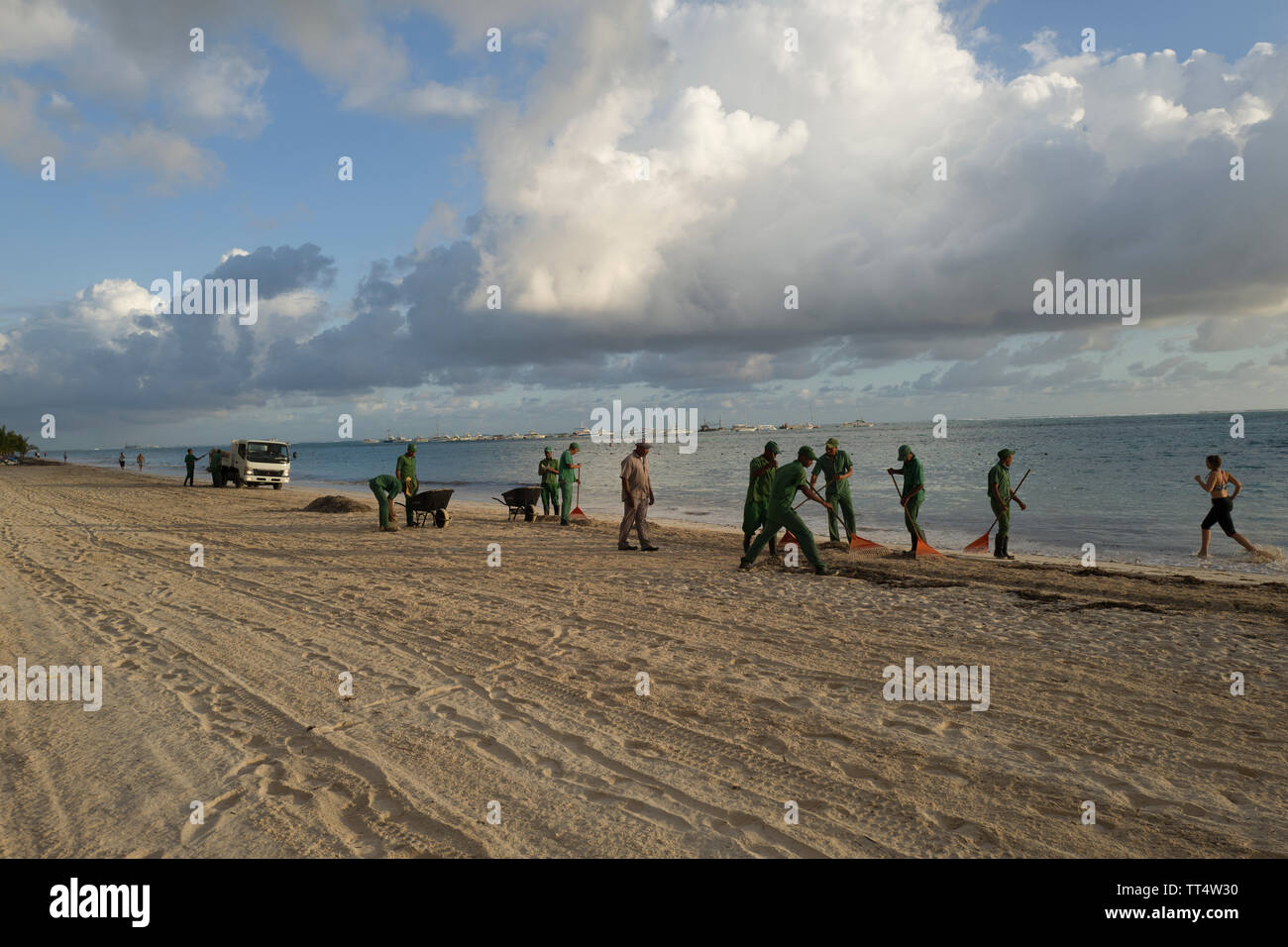 Reinigung der Strand von Algen auf Bavaro Beach Punta Cana Dominikanische Republik Stockfoto